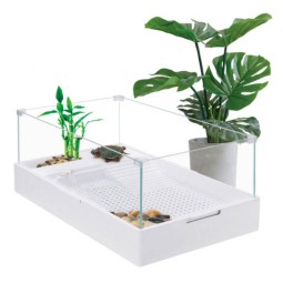 Turtle Breeding Box Factory - Custom Sobo Glass Landscape Tank