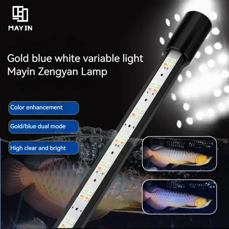 Aquarium Light Manufacturer - OEM Mayin Golden Dragon Magic Lamp