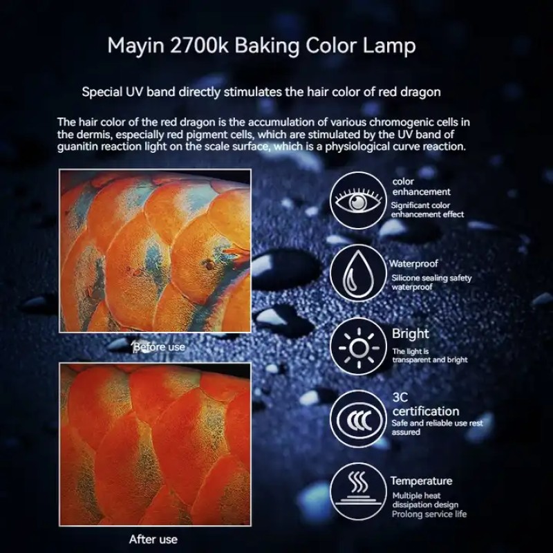 Arowana Lamp Manufacturer - OEM Mayin Red Arowana Grilled Color Lamp