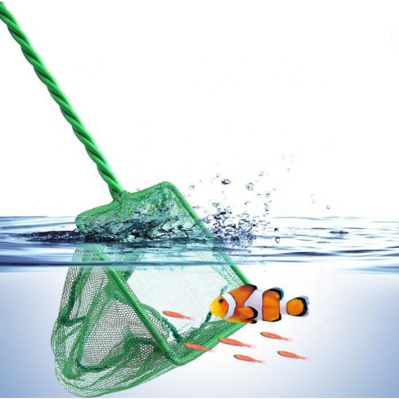 Aquarium Net Supplier - Aquarium Accessories Fish Tank Fishing Net Hand Aquarium Net Green Color