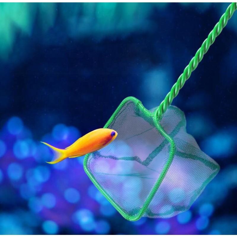 Aquarium Net Supplier - Aquarium Accessories Fish Tank Fishing Net Hand Aquarium Net Green Color