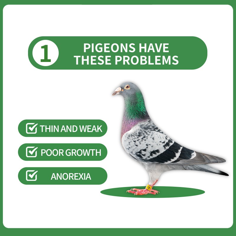 Bird Vitamin Factory - Free Samples Vitamin for Birds Booster Intestinal Health Digestion Energy