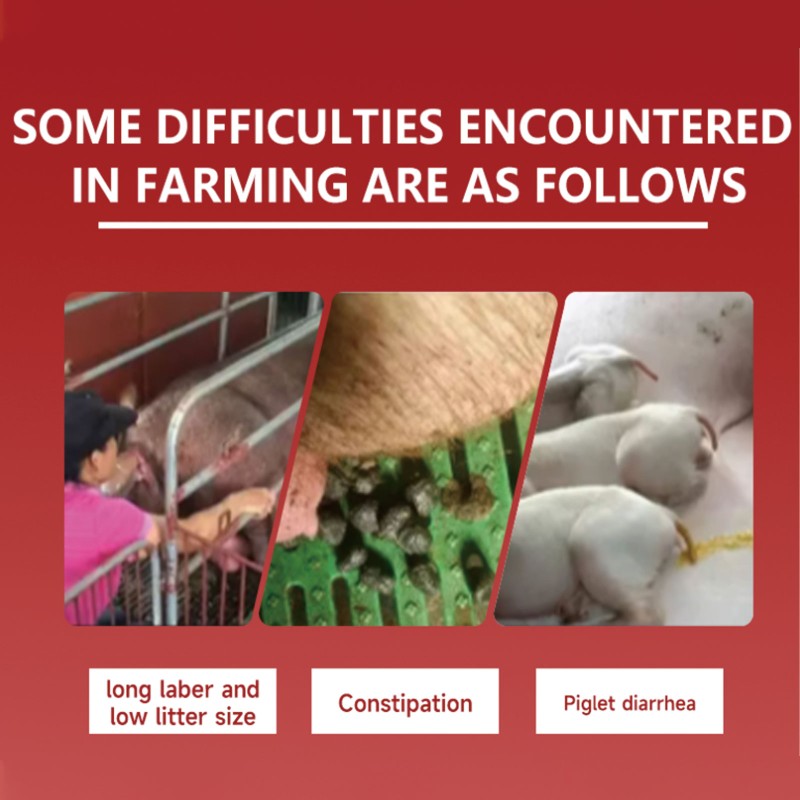 Poultry Additive Supplier - Made China Enzyme Chicken Feed Additives Grower Layers Egg Booster