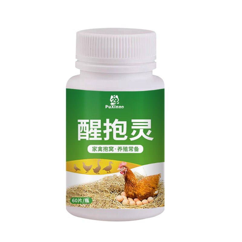 Layer Booster Factory - Egg Booster Fertility Powder Poultry Vitamins Layer Booster Feed Additives