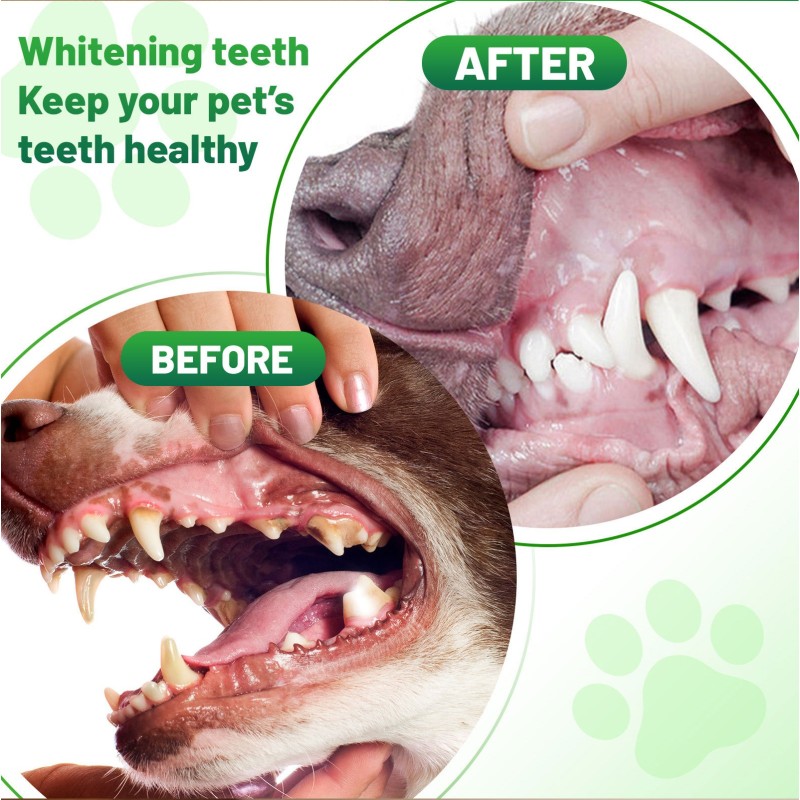 Pet Dental Powder Factory - Wholesale 100g Natural Tartar Remover Cleaning Powder Oral Care Cats Dogs