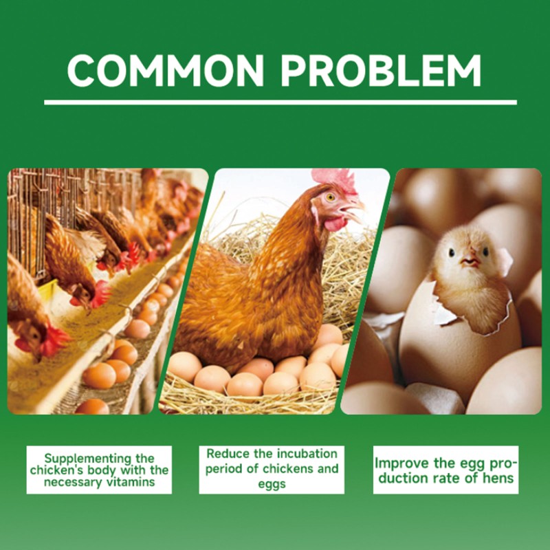 Pet Supplement Factory - Pet Joint Health Care Skin Care Anti Hair Removal Improve Immunity Omega-3