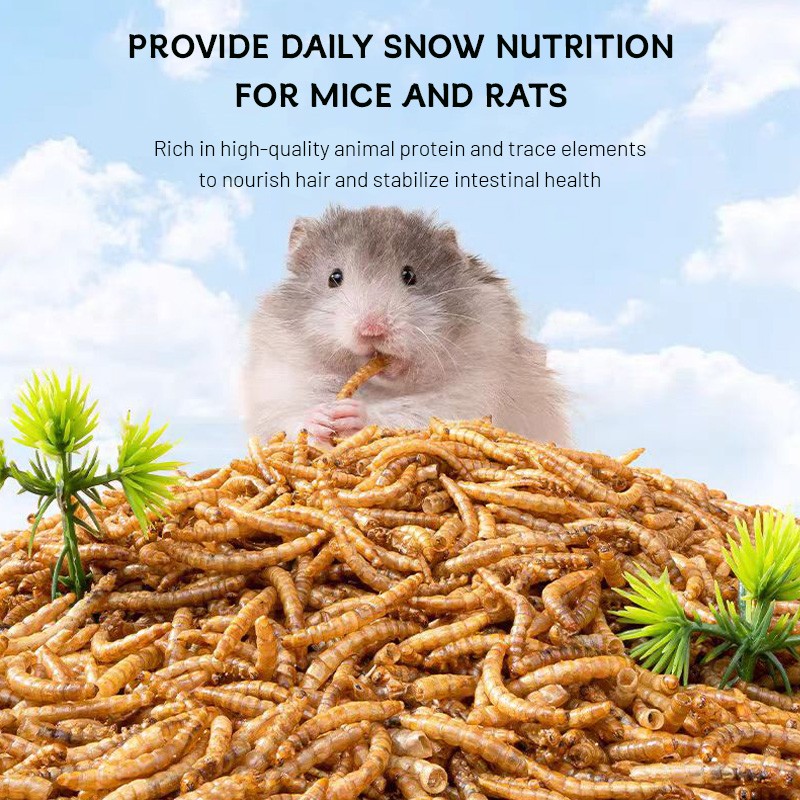 Pet Food Supplier - High Quality High-Protein Insect Dry Products Bird Hamster Feed OEM