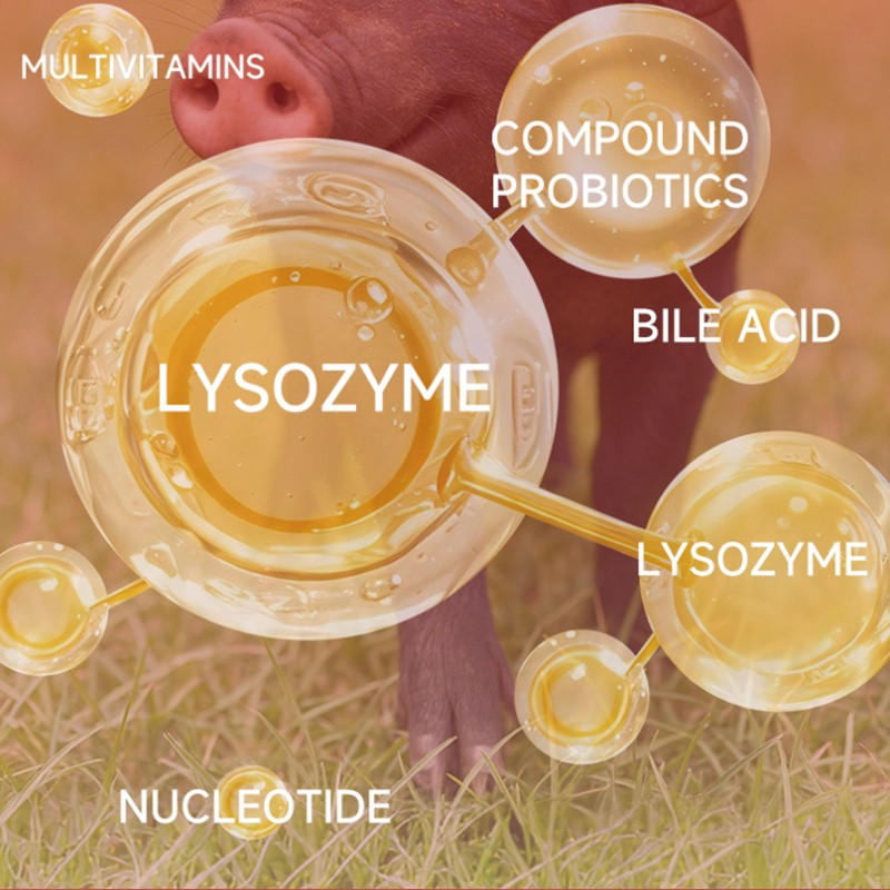 Poultry Additive Supplier - Made China Enzyme Chicken Feed Additives Grower Layers Egg Booster