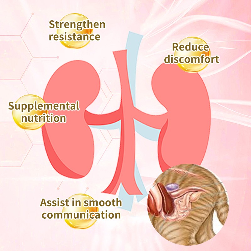 Pet Urinary Supplement Manufacturer - Custom Flavored Cranberry Nutritional Supplements UTI Relief