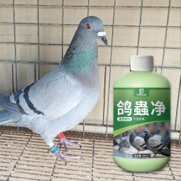 Bird Supplement Supplier - Pigeon Medicine Vitamins Supplements Feather Health Care Immunity Recovery
