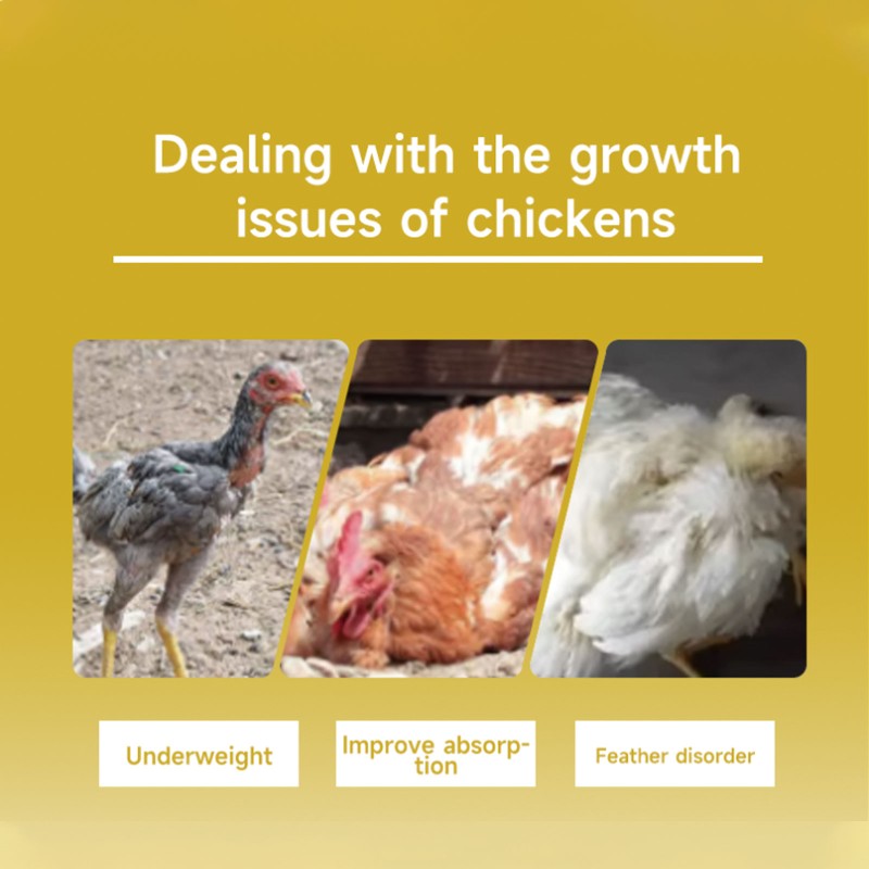 Pet Ear Cleaner Supplier - 120ml Soft Formula Ear Cleaning Solution Freshens Cleans Dogs Cats Ears