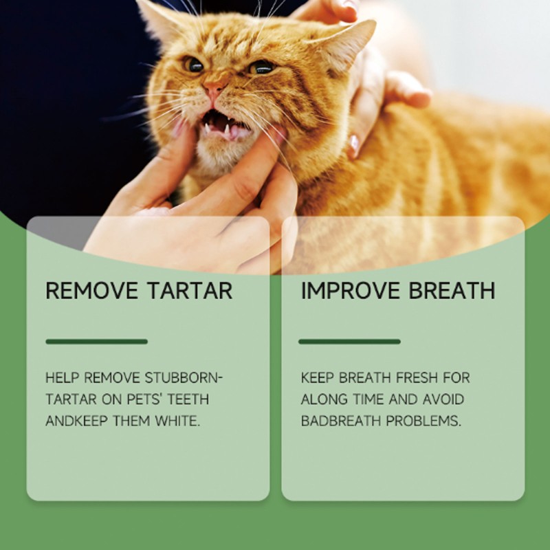 Livestock Supplement Manufacturer - Type I Lysozyme Pig Growth Booster Immunity Intestinal Health