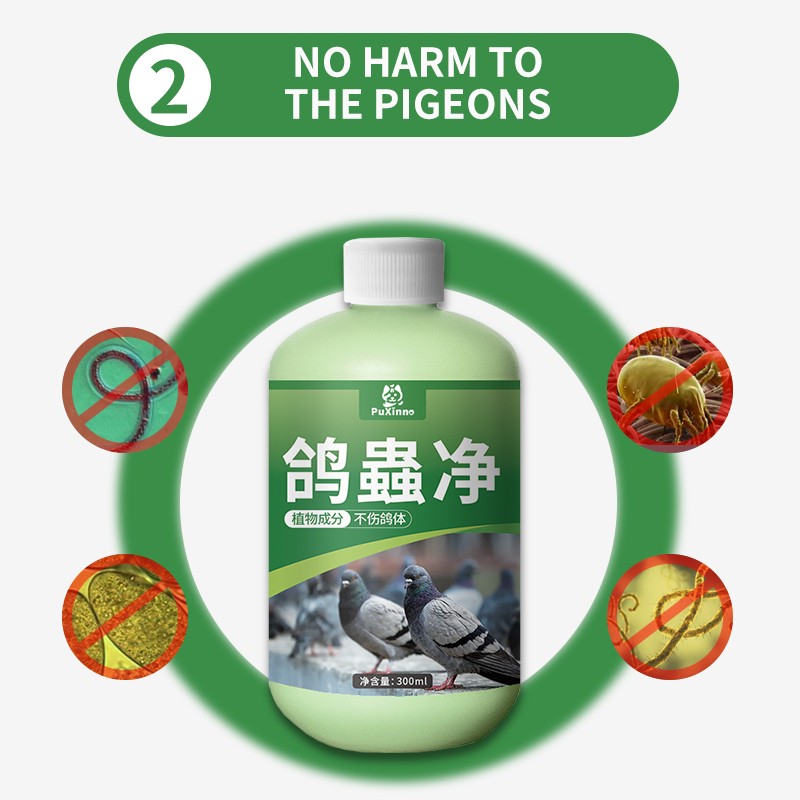 Bird Vitamin Factory - Free Samples Vitamin for Birds Booster Intestinal Health Digestion Energy