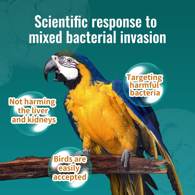 Bird Supplement Factory - Made in China Free Samples Bird Parrots Bacteriophage Nutrition Supplements