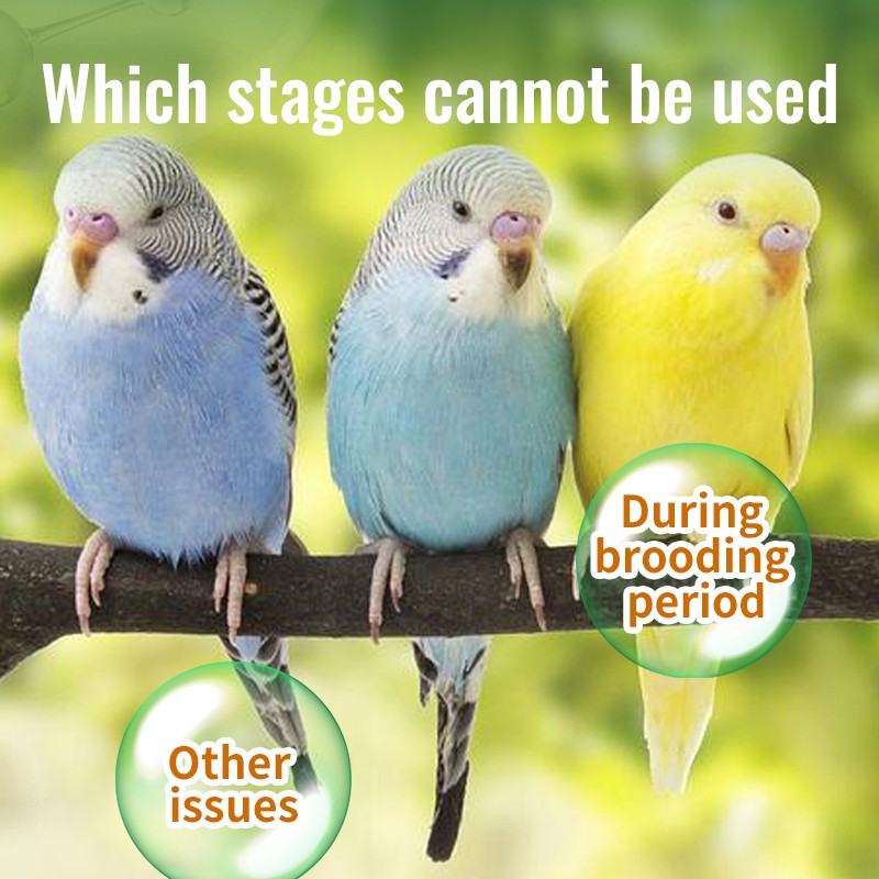 Bird Supplement Manufacturer - Free Sample Bird Nutrition Supplement High Vitamin Intestinal Booster