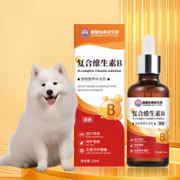 Pet Vitamin Supplier - Nutritious Complex Vitamin B Supplements for Dogs Cats Premium Care