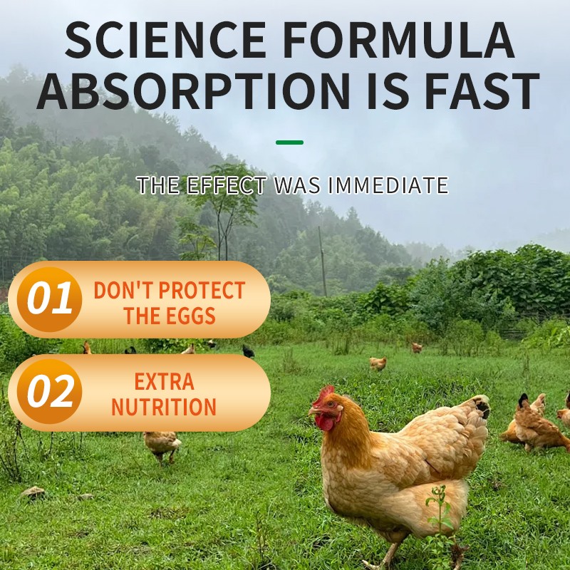 Layer Booster Factory - Egg Booster Fertility Powder Poultry Vitamins Layer Booster Feed Additives