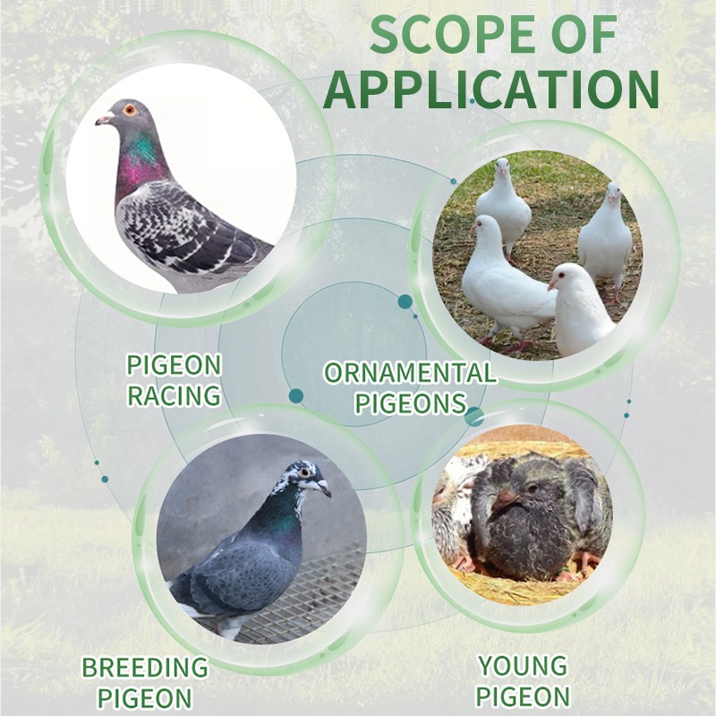 Bird Supplement Supplier - Pigeon Medicine Vitamins Supplements Feather Health Care Immunity Recovery