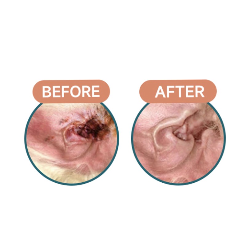 Pet Training Spray Factory - Fixed-Point Defecation Aid Sprayer for Young Dogs Effective Training