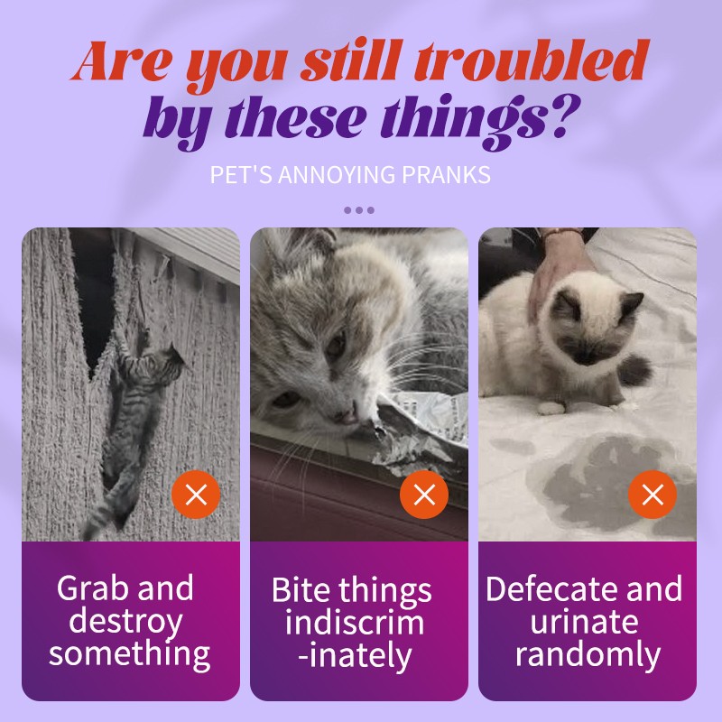 Poultry Supplement Manufacturer - High Quality Natural Broiler Turkey Premix Additive Growth Booster