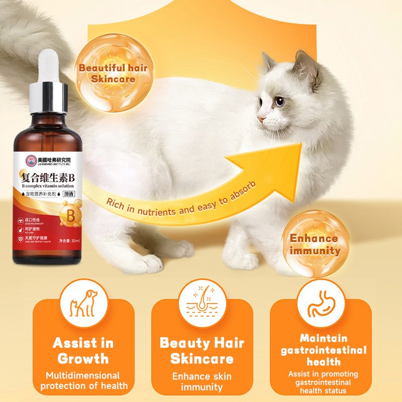 Pet Vitamin Supplier - Nutritious Complex Vitamin B Supplements for Dogs Cats Premium Care