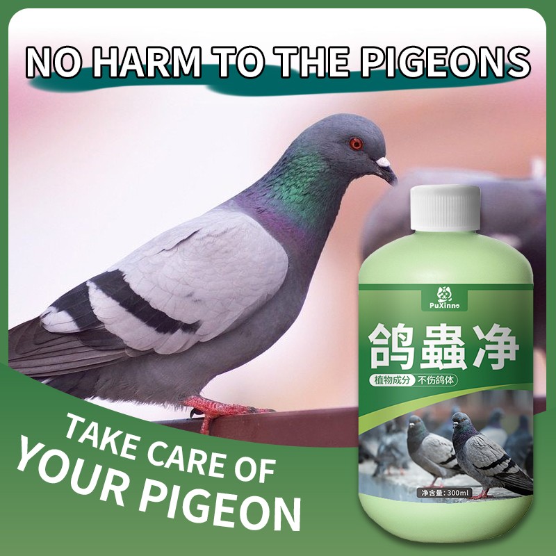 Bird Supplement Supplier - Pigeon Medicine Vitamins Supplements Feather Health Care Immunity Recovery