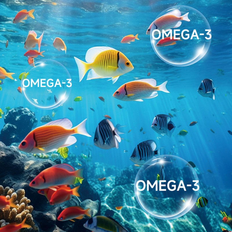 Poultry Additive Manufacturer - High Quality Natural Premix Additive Booster Broiler Turkeys Growth