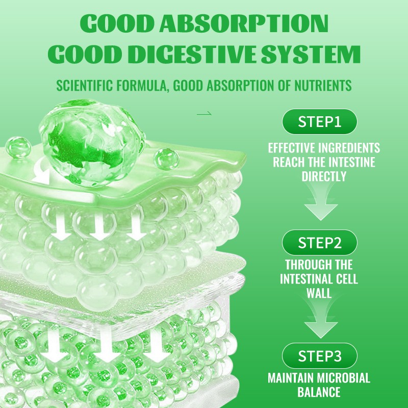 Pet Probiotic Factory - OEM Probiotic Liquid Supplement Enhances Gastrointestinal Resistance Appetite