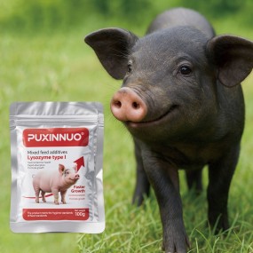 Poultry Additive Supplier - Made China Enzyme Chicken Feed Additives Grower Layers Egg Booster