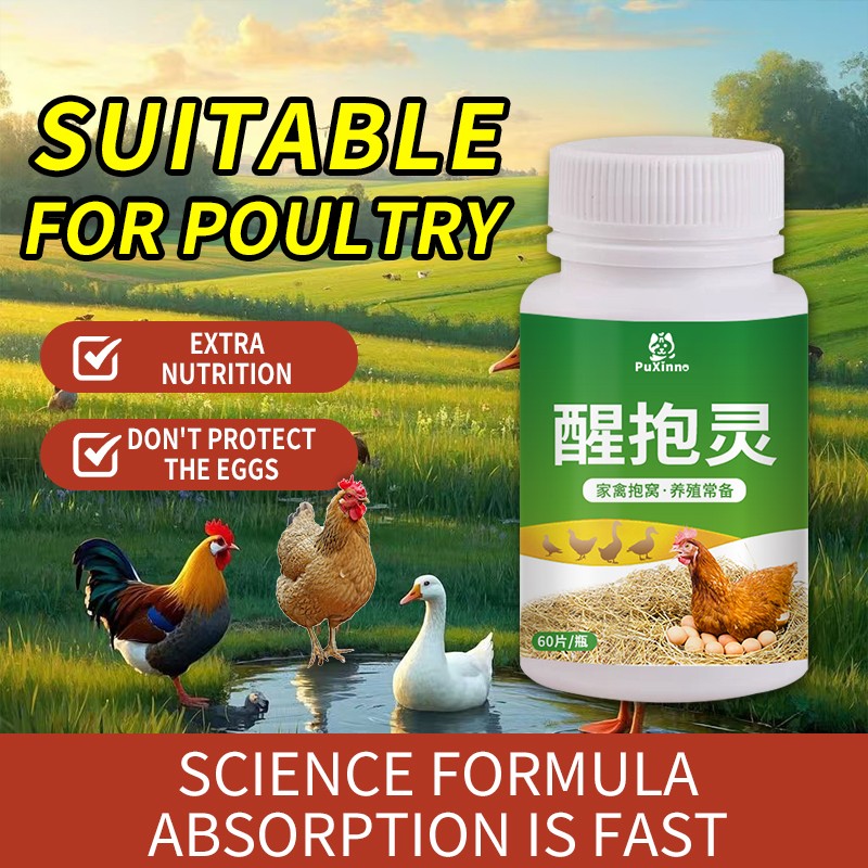 Layer Booster Factory - Egg Booster Fertility Powder Poultry Vitamins Layer Booster Feed Additives