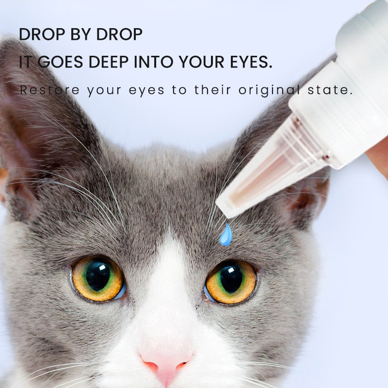 Pet Eye Drops Manufacturer - China Factory Pet Dog Cat Eye Cleaner Drops Eye Care Supplies