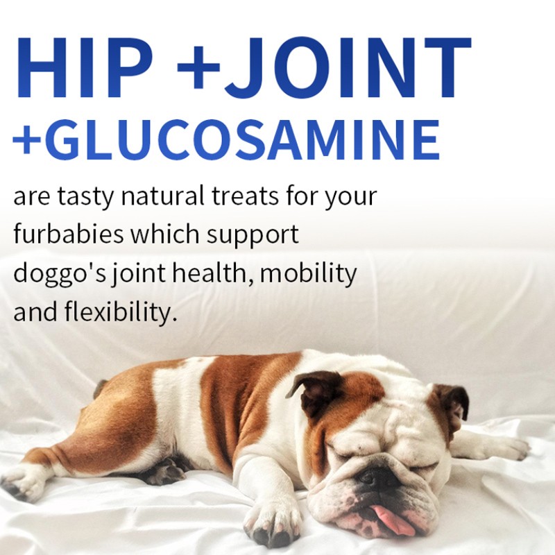Dog Supplement Supplier - OEM ODM Glucosamine Supplements Hip Joint Pain Relief Skin Allergy