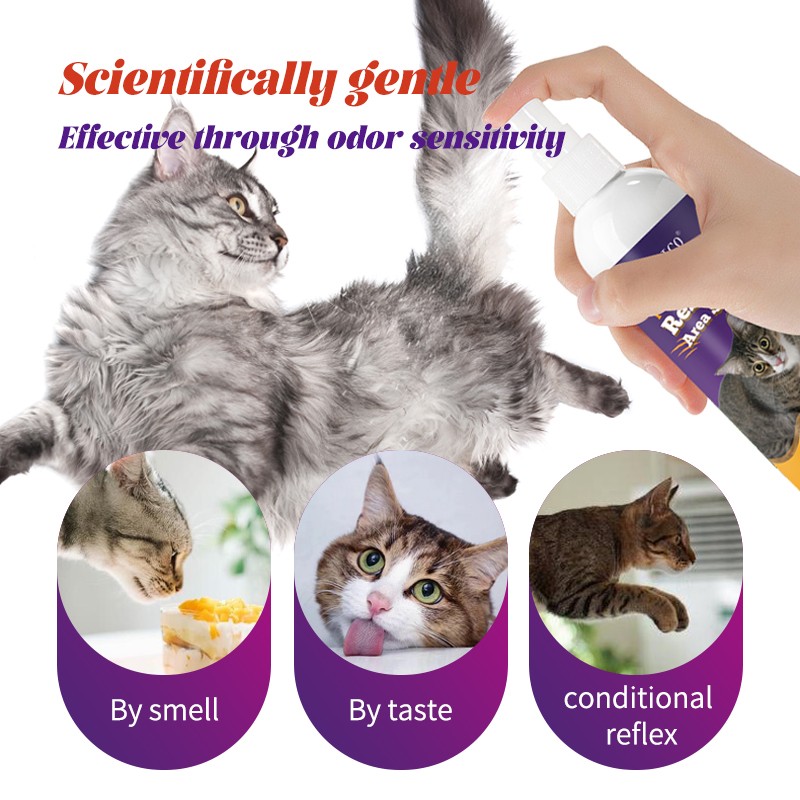 Pet Training Supplier - Orange Flavored Restricted Area Spray for Dog Scratch Prevention Training