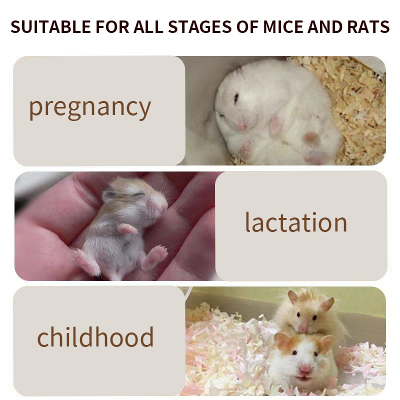 Pet Food Supplier - High Quality High-Protein Insect Dry Products Bird Hamster Feed OEM