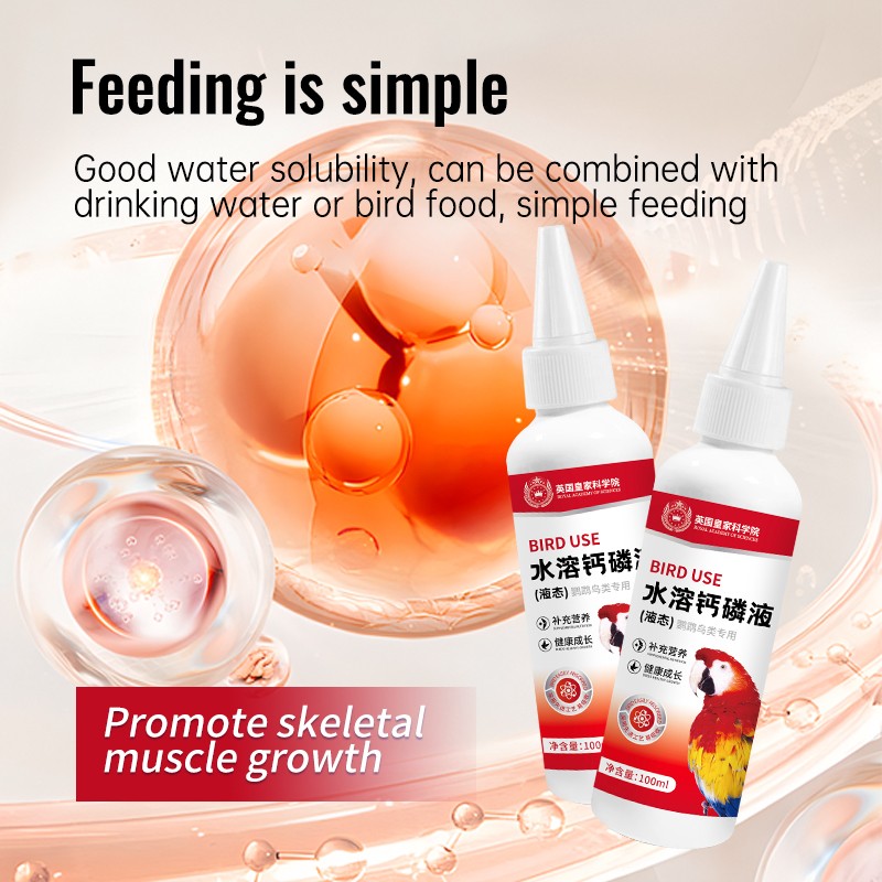 Pet Calcium Supplier - High Quality Calcium Phosphorus Supplement Nutritious Bone Health for Pets