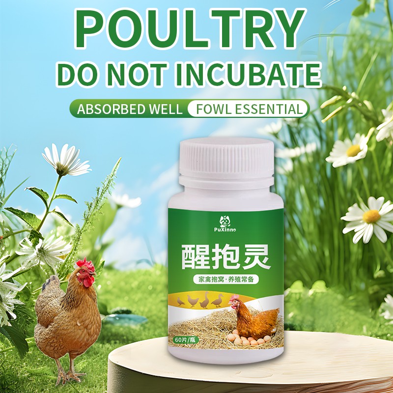 Layer Booster Factory - Egg Booster Fertility Powder Poultry Vitamins Layer Booster Feed Additives