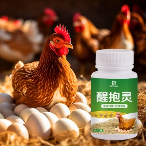 Layer Booster Factory - Egg Booster Fertility Powder Poultry Vitamins Layer Booster Feed Additives