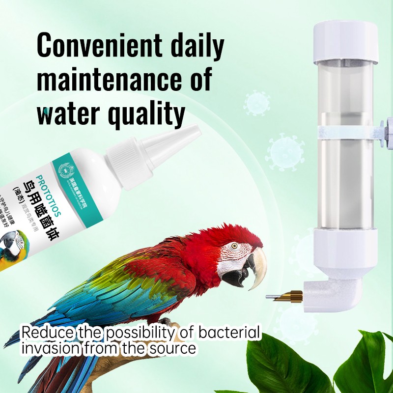 Bird Supplement Factory - Made in China Free Samples Bird Parrots Bacteriophage Nutrition Supplements