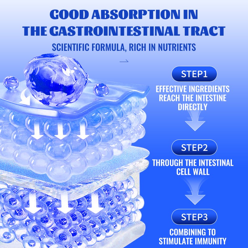 Cat Food Factory - Wholesale Comprehensive Healthy Cat Food Tuna Flavor Immune Supplements