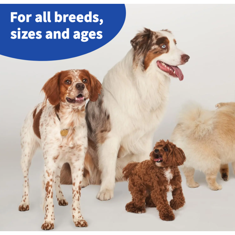 Joint Supplement Supplier - Hip Dysplasia Supplements Dogs Anxiety Relief Pet Treats Joint Supplement