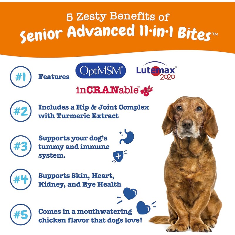 Soft Chews Manufacturer - Dog Multivitamins Soft Chews Bites USA Complete Pet Health Care Supplement Bulk