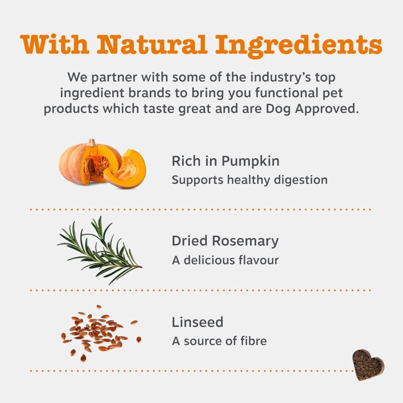 Probiotic Chews Manufacturer - Pet Health Care Supplements Chews Private Label Dog Treat Natural Prebiotics