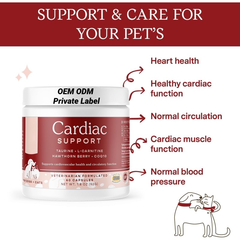 Cardio Supplement Factory - Best Quality Natural Pet Health Care Supplement Cardio Tensive Capsule Dogs Cats