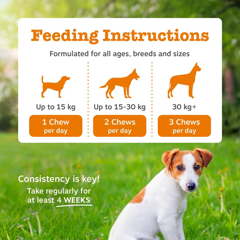 Pet Multivitamin Factory - Premium Pet Nutrition Soft Chews Complete Multivitamin Supplement Dogs Cats