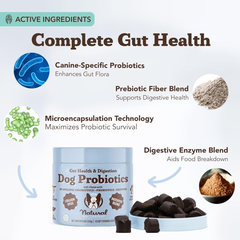 Pet Treats Factory - OEM Pet Food Supplement Dog Treats Snacks Suppliers 120 Soft Chews Probiotic Digestive