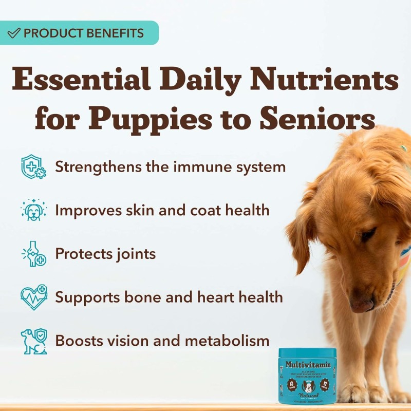 Multivitamin Manufacturer - OEM Dog Multivitamin Top Manufacturer Complete Pet Health Care Supplements GMP