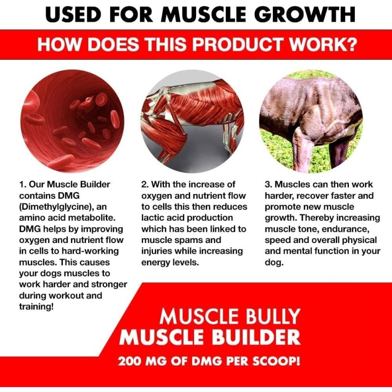 Muscle Builder Factory - High Protein 10-in-1 Pets Food Supplement Delicious Flavor Chew Bites Pet Care