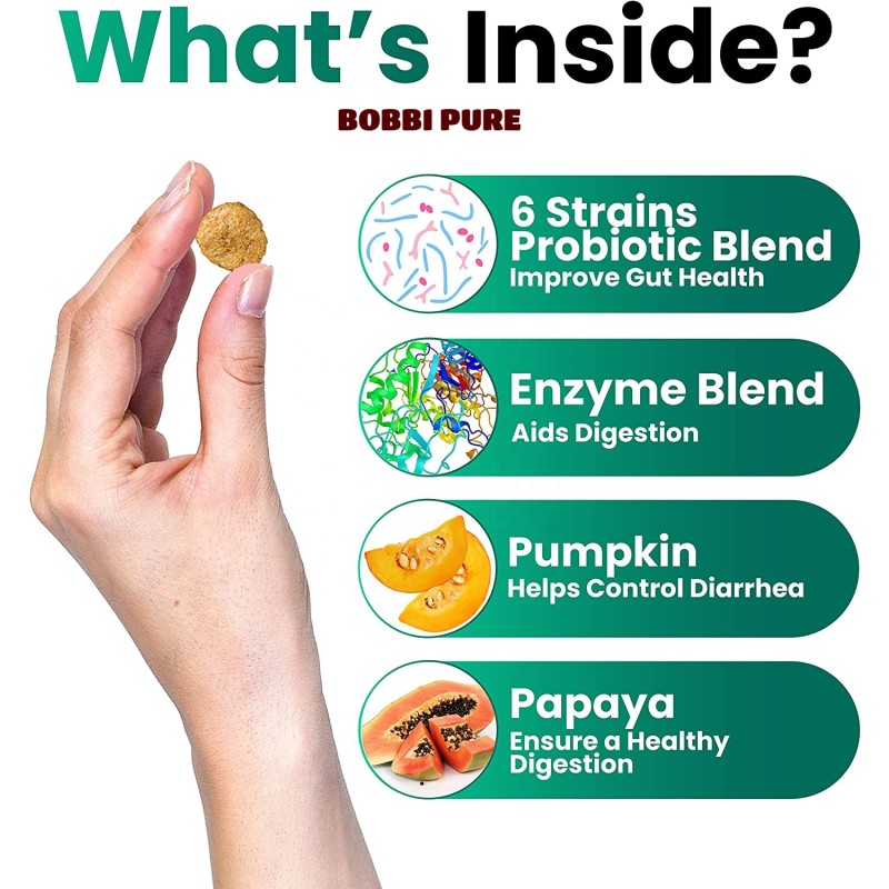 Digestive Supplement Factory - Premium Probiotics for Dogs Digestive Health Dog Supplement Gut Support Pet Care