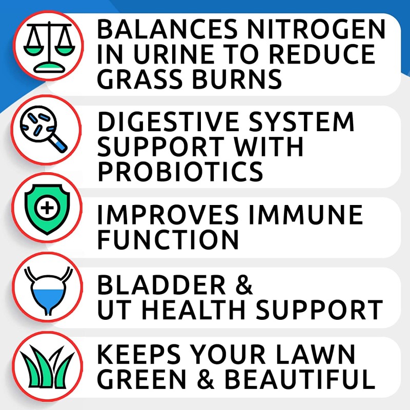 Urinary Support Factory - Private Label Natural Urinary Support Soft Chews Pet Care for Cats Liver Kidney