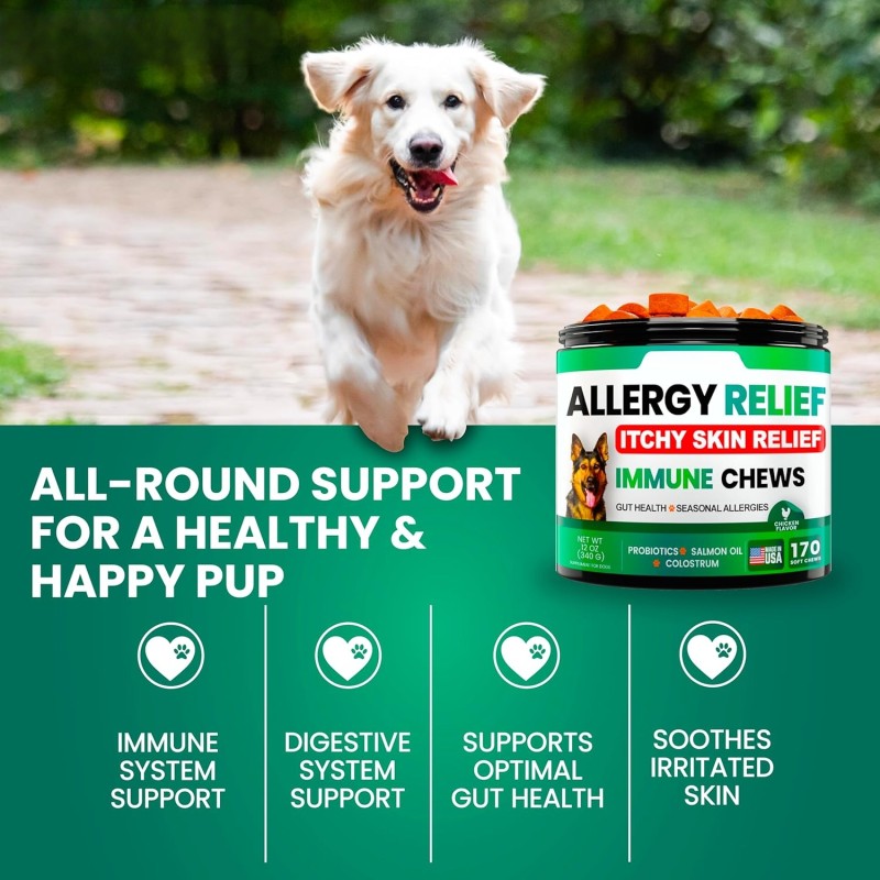 Omega Chews Supplier - Dog Allergy Relief Supplement Skin Immune Support with Omega-3 Fish Oil Probiotics